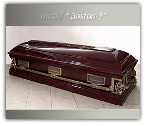 fereastra_model_boston