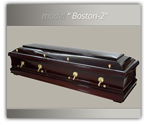 fereastra_model_boston_2