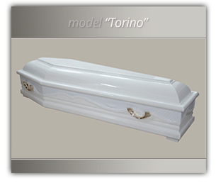fereastra_model_torino_static